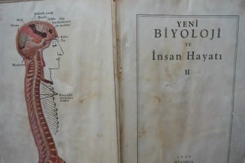 Yeni Biyoloji ve İnsan Hayatı II – Devlet Basımevi İstanbul 1936 , 236 s.