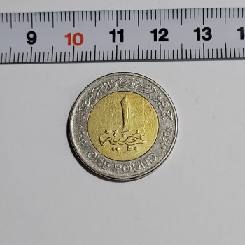 2007 Mısır 1 Pound