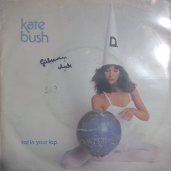 Kate Bush - Lord of the Reedy River - Sat in your lap