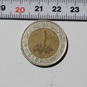 Mısır 1 Pound