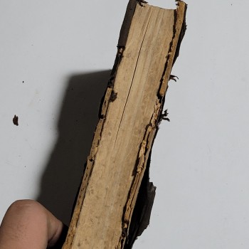 Vaizlerin 8. düzeninin ayinine göre tören (Latince, Ciltli), H. Dessain, 1869, 679 s.