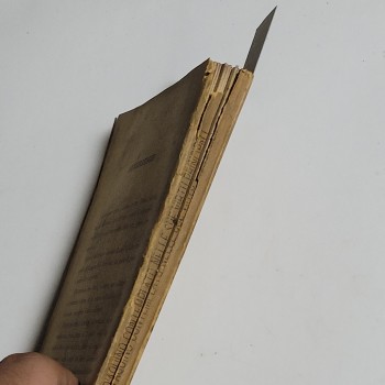 Aquino’nun Güneşi 2. Tome, Genovai 1878, 201 s.