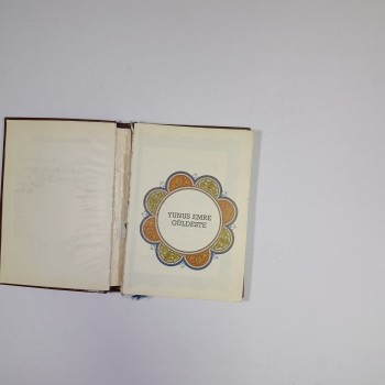 Yunus Emre Güldeste