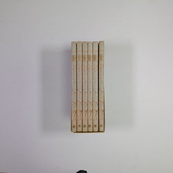 Farsça Mesnevi 6 Cilt Kutulu