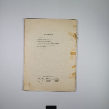 TÜRK İŞLEMELERİNDEN MOTİFLER