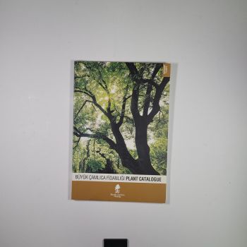 BÜYÜK ÇAMLICA FİDANLIĞI BİTKİ KATALOĞU