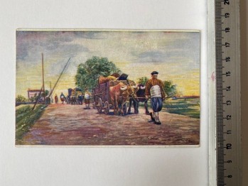 Constantinople Kartpostal