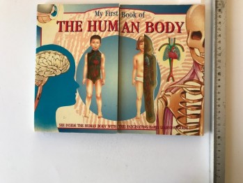 My First Book of The Human Body – John H.R.Brook