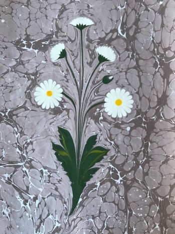 Ebru Çalışması