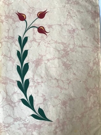 Ebru Çalışması