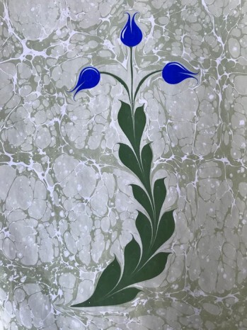 Ebru Çalışması