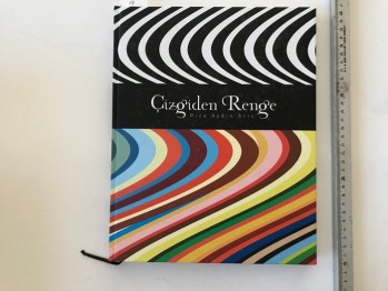 Çizgiden Renge- Rıza Aydın Araç (Ciltli)
