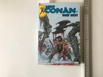 Barbar Conan’ın Vahşi Kılıcı 7