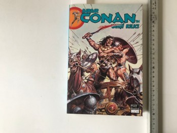 Barbar Conan’ın Vahşi Kılıcı 15