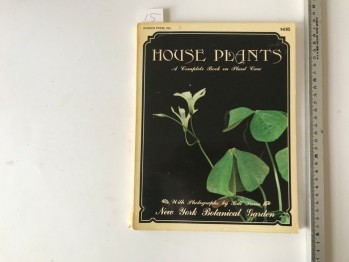 House Plants