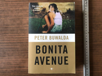 Peter Buwalda – Bonita Avenue