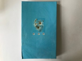 80 Foto Albüm