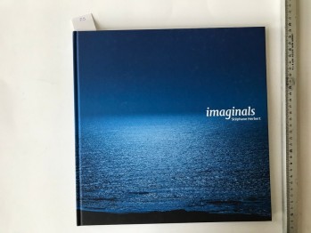 İmaginals – Stephane Herbert (ciltli)