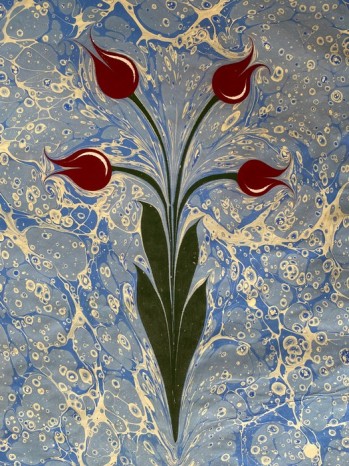 Ebru Çalışması