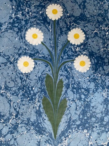 Ebru Çalışması