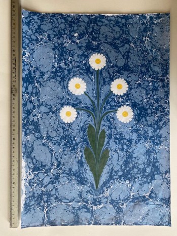 Ebru Çalışması