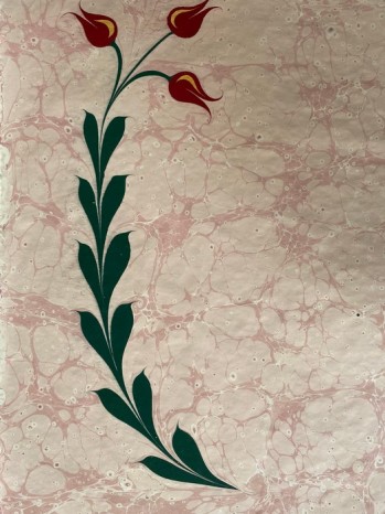 Ebru Çalışması