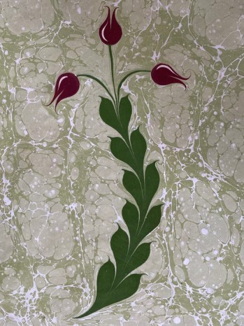 Ebru Çalışması