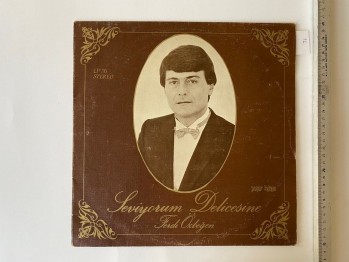 Ferdi Özbeğen –Seviyorum Delicesine
