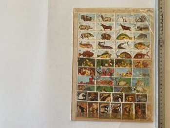 Arap Pulları 95 adet