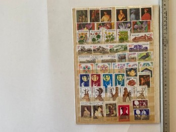 Bulgar Pulları 100 adet