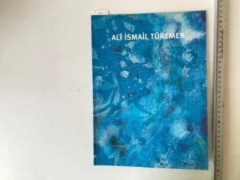 Ali İsmail Türemen