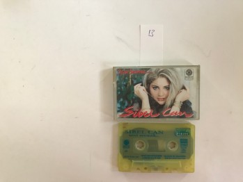 Seni Sevmek..– Sibel Can