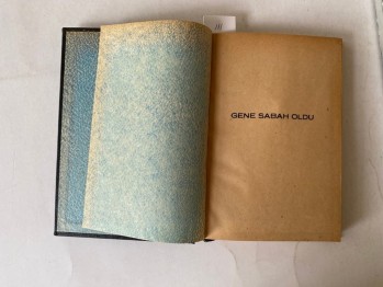 Gene Sabah Oldu – Ernest Hemingway (Ciltli)
