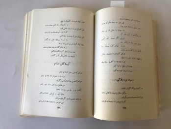 Dünya-yi Şadiha – Muhammed Hürremşahi Şiir Antoloji, 526 s. (Osmanlıca)
