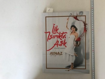 İlk Isırıkta Aşk – Aynaz Özkaşıkçı / Okuyanus,2018, 227 s. Ciltli