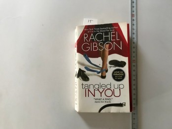 Tangled Up In You-Rachel Gıbson