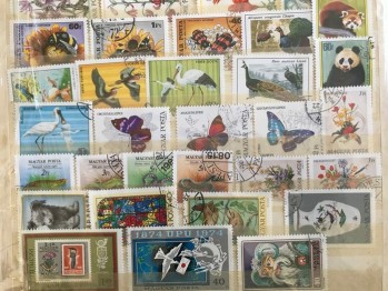 85 Adet Maceristan Bulgar Pulları