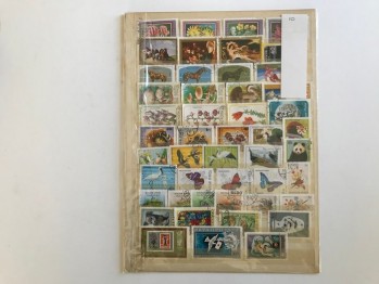 85 Adet Maceristan Bulgar Pulları