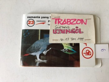 Trabzon/Sürmene/Uzungöl Albümlü Fotoğraflar-(18 adet),17 Temmuz 1999