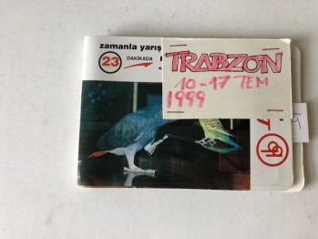 Trabzon Albümlü Fotoğraflar (29 adet), 10-17 Temmuz 1999