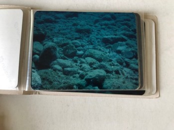 Sualtı/Fethiye /Dalyau Köyü/Şövalye /Letooniz Albümlü Fotoğraflar (29 adet), Ağustos 1992