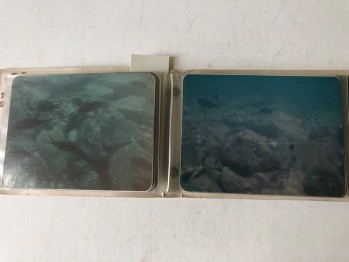 Sualtı/Fethiye Albümlü Fotoğraflar (36 adet), Ağustos 1992