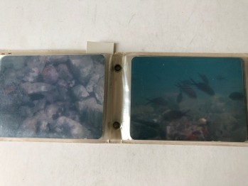 Sualtı/Fethiye Albümlü Fotoğraflar (36 adet), Ağustos 1992