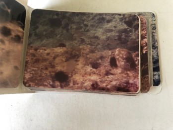 Bozcaada/Tenedos /Su Altı Albümlü Fotoğraflar(30 adet), Ağustos 1994
