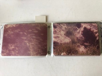 Bozcaada/Tenedos /Su Altı Albümlü Fotoğraflar(30 adet), Ağustos 1994
