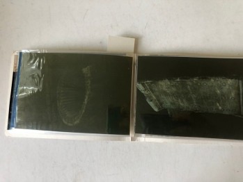 Aphrodisias Albümlü Fotoğraflar(23 adet), 30 Aralık 1998, 2 Ocak 1999