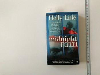 Midnight Rain-Holly Lisle
