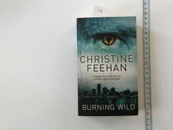 Burnıng Wıld-Chırıstıne Feean