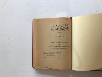 Mehmet Akif’in Hayatı  - Vecihi , 1315 , 356  s.