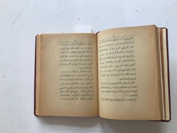Mehmet Akif’in Hayatı  - Vecihi , 1315 , 356  s.